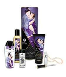 Coffret collection plaisirs charnels 5 produits Shunga + un collier de perles - CC0070